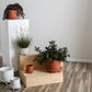 Jane Footed Pot Set of 4 By Accent Decor | Planters, Troughs & Cachepots | Modishstore - 3