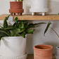 Jane Footed Pot Set of 4 By Accent Decor | Planters, Troughs & Cachepots | Modishstore - 4