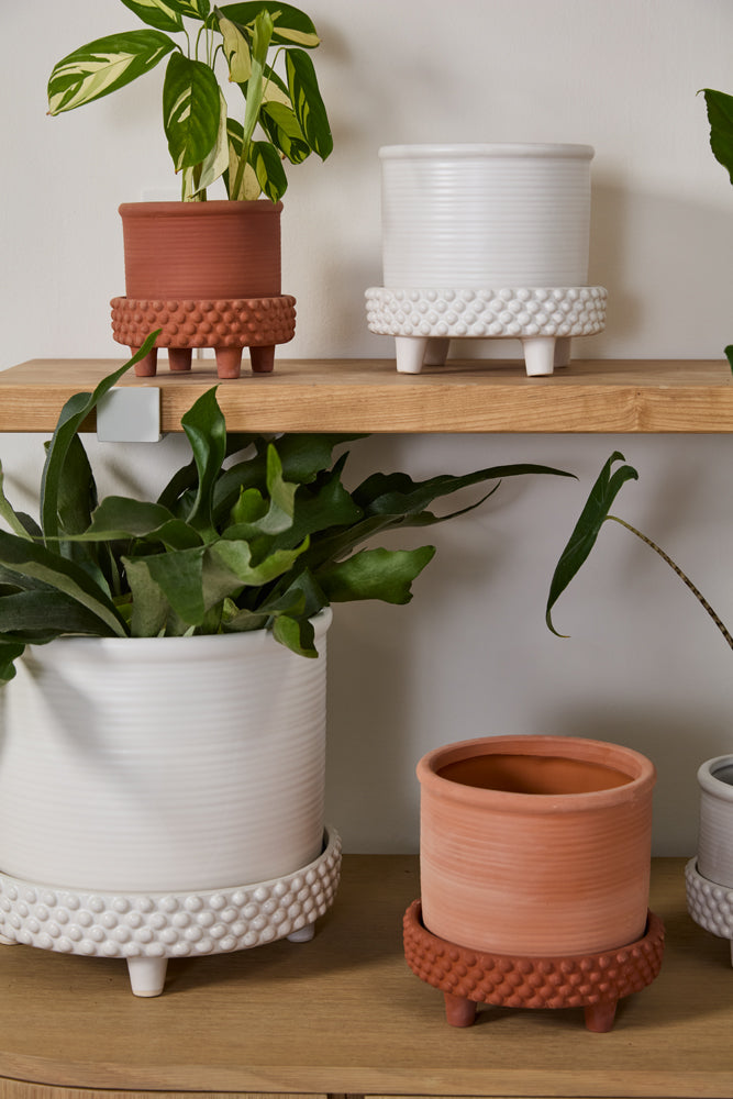 Jane Footed Pot Set of 4 By Accent Decor | Planters, Troughs & Cachepots | Modishstore - 4
