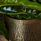 Jardin Pot Set of 2 By Accent Decor | Planters, Troughs & Cachepots | Modishstore - 1
