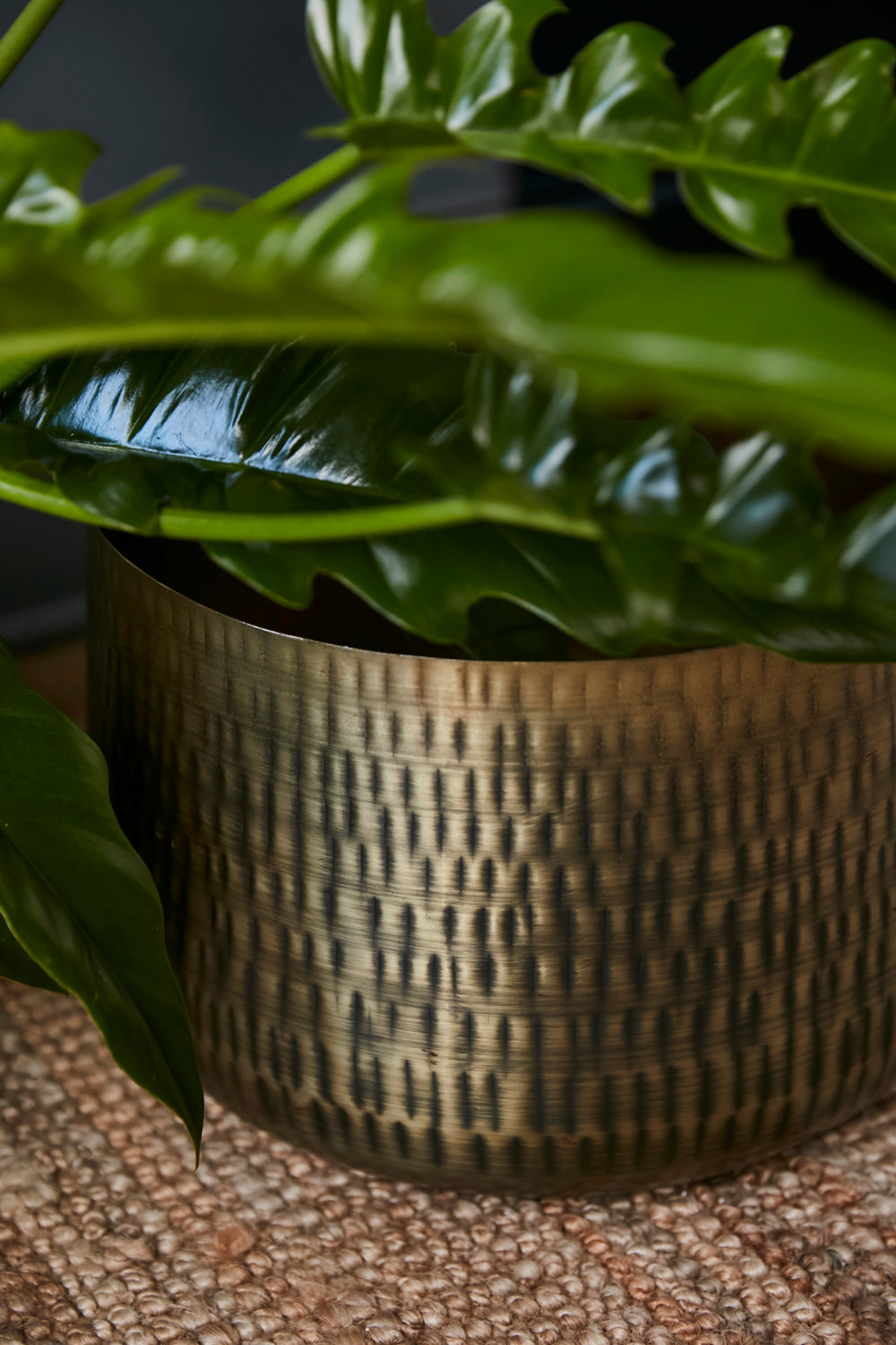 Jardin Pot Set of 2 By Accent Decor | Planters, Troughs & Cachepots | Modishstore - 1