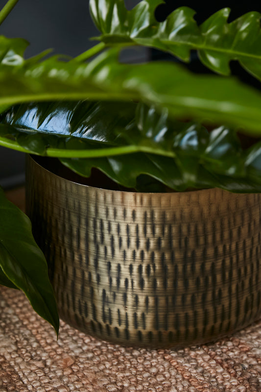 Jardin Pot Set of 2 By Accent Decor | Planters, Troughs & Cachepots | Modishstore - 1