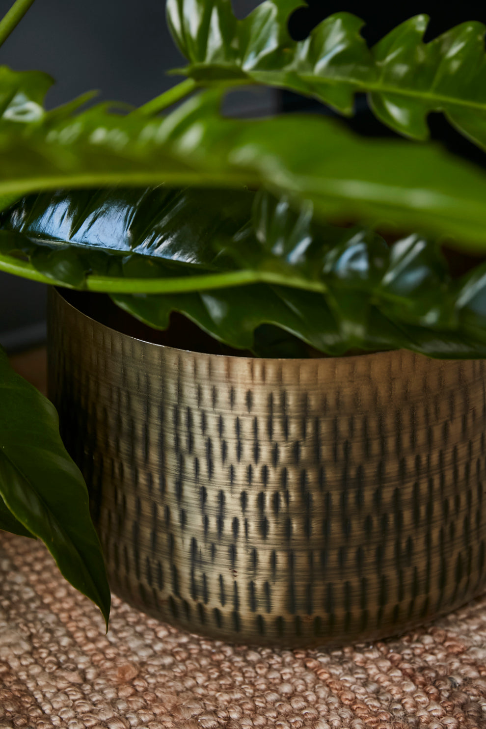 Jardin Pot Set of 2 By Accent Decor | Planters, Troughs & Cachepots | Modishstore - 1
