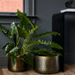 Jardin Pot Set of 2 By Accent Decor | Planters, Troughs & Cachepots | Modishstore - 3