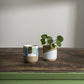 Jazzy Mug Set of 8 By Accent Decor | Planters, Troughs & Cachepots | Modishstore - 1
