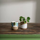 Jazzy Mug Set of 8 By Accent Decor | Planters, Troughs & Cachepots | Modishstore - 3