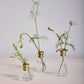 Jimmy Budvase Set of 4 By Accent Decor | Vases | Modishstore - 1