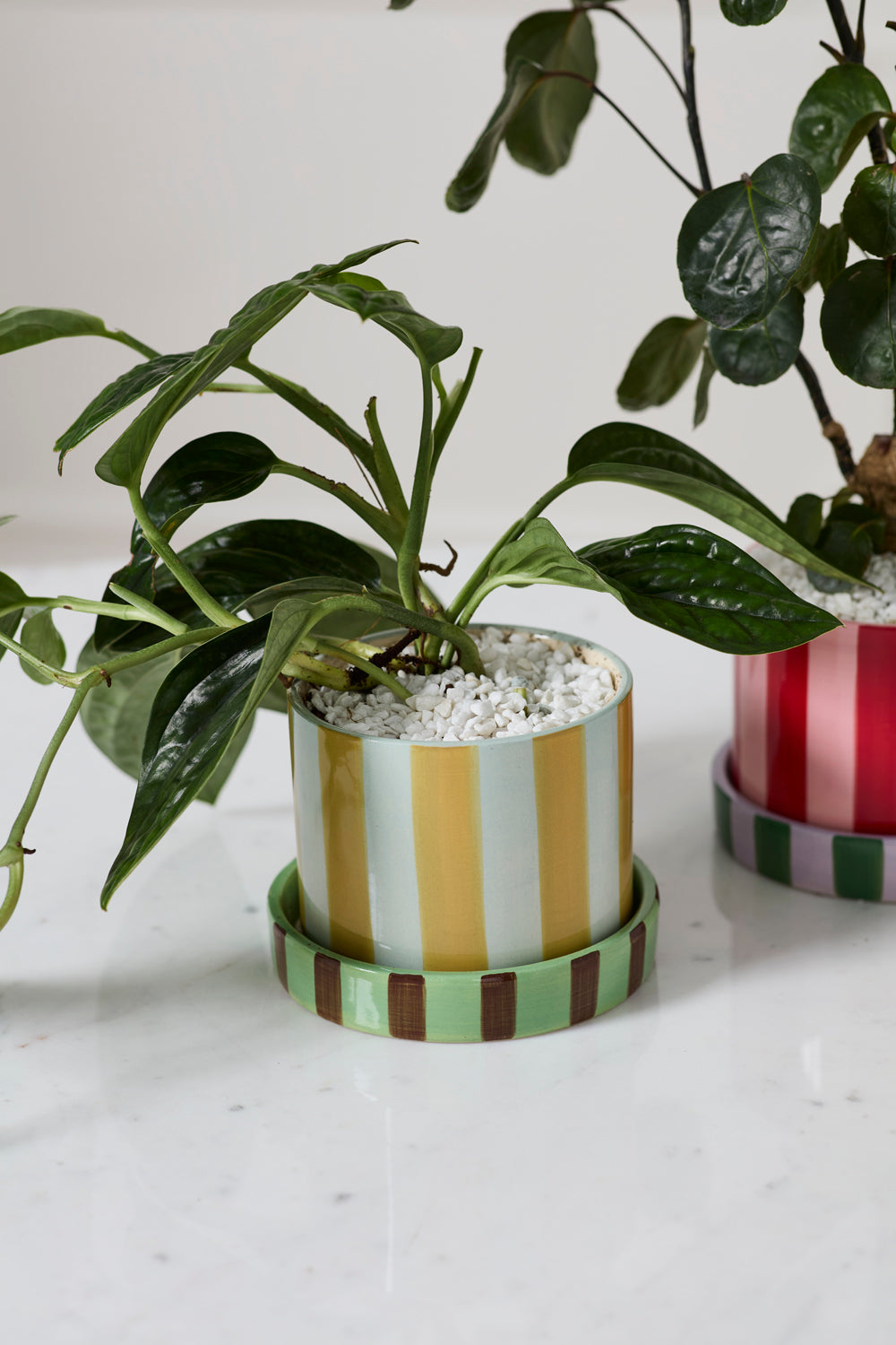 Joyelle Pot with Saucer Set of 4 By Accent Decor | Planters, Troughs & Cachepots | Modishstore - 3