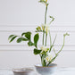 Julian Compote Set of 4 By Accent Decor | Planters, Troughs & Cachepots | Modishstore - 1