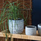 Jupiter Pot Set of 8 By Accent Decor | Planters, Troughs & Cachepots | Modishstore - 1