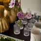 Karina Budvase Set of 8 By Accent Decor | Vases | Modishstore - 5