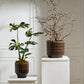 Kasra Pot By Accent Decor | Wall Decor | Modishstore - 3