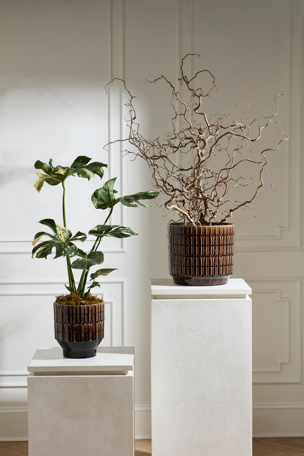 Kasra Pot By Accent Decor | Wall Decor | Modishstore - 3