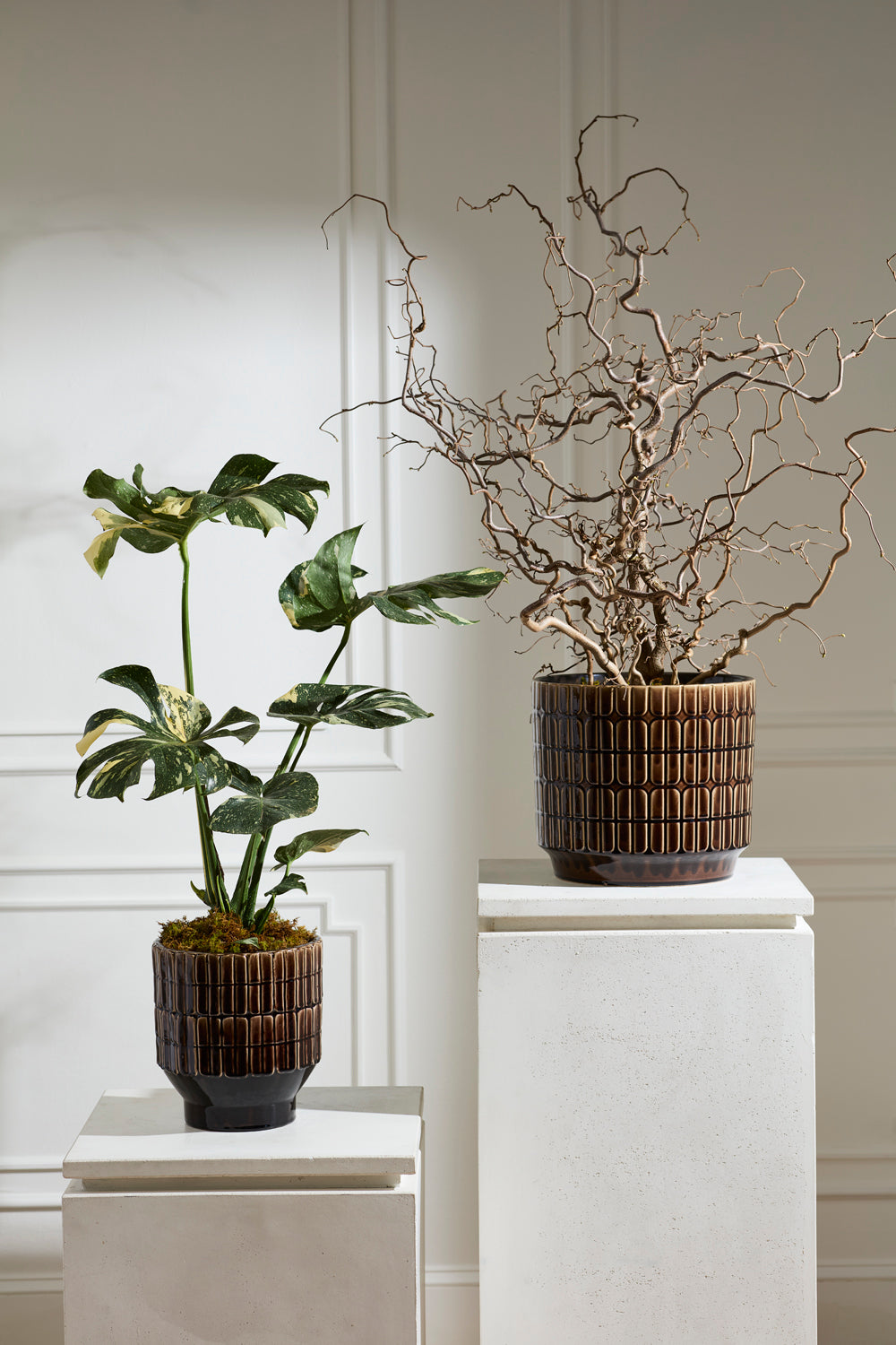 Kasra Pot By Accent Decor | Wall Decor | Modishstore - 4