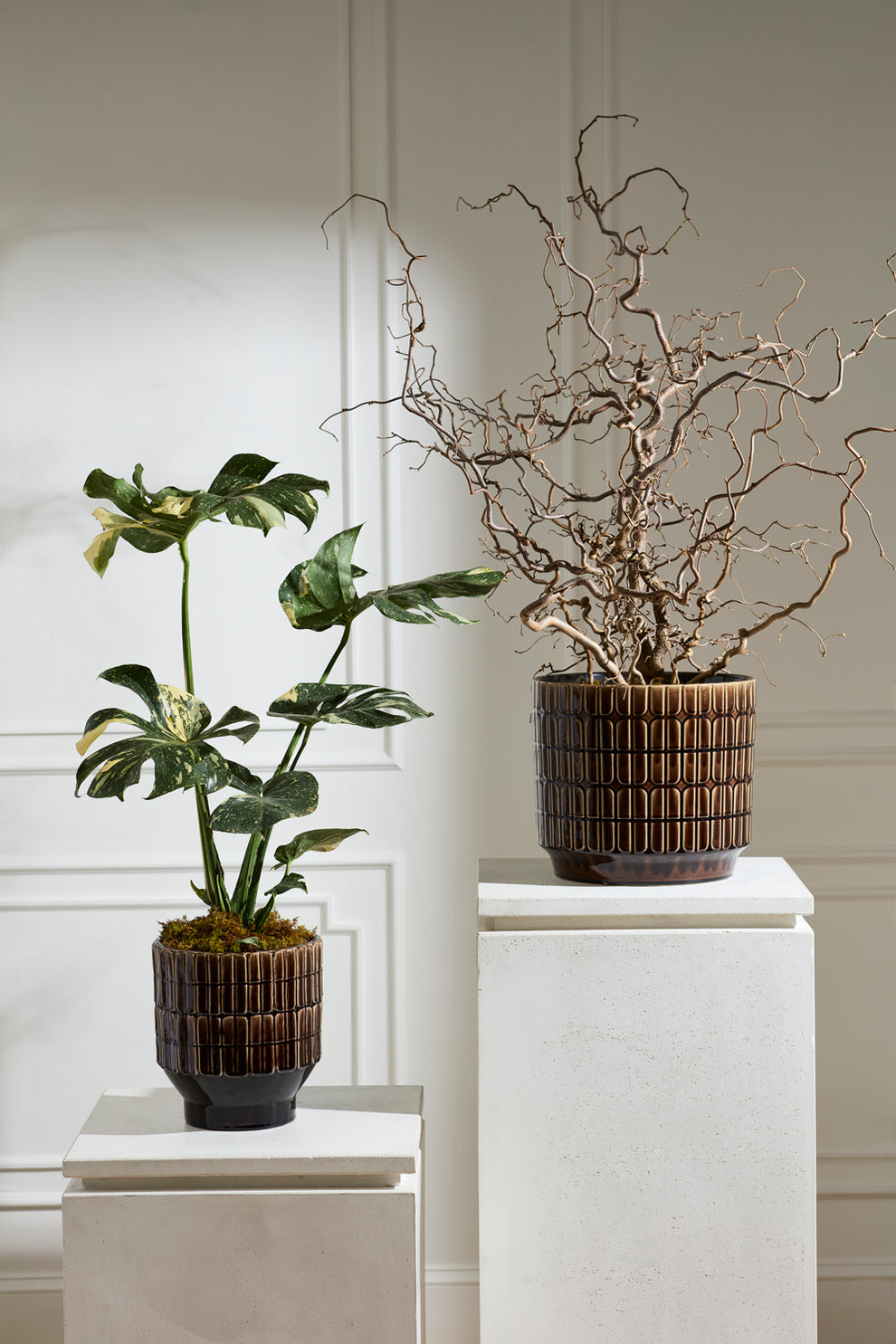 Kasra Pot By Accent Decor | Wall Decor | Modishstore - 4