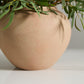 Kastanos Vase Set of 4 By Accent DŽcor