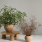 Kastanos Vase Set of 4 By Accent DŽcor