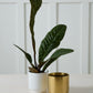 Kellen Pot Set of 4 By Accent Decor | Wall Decor | Modishstore - 4