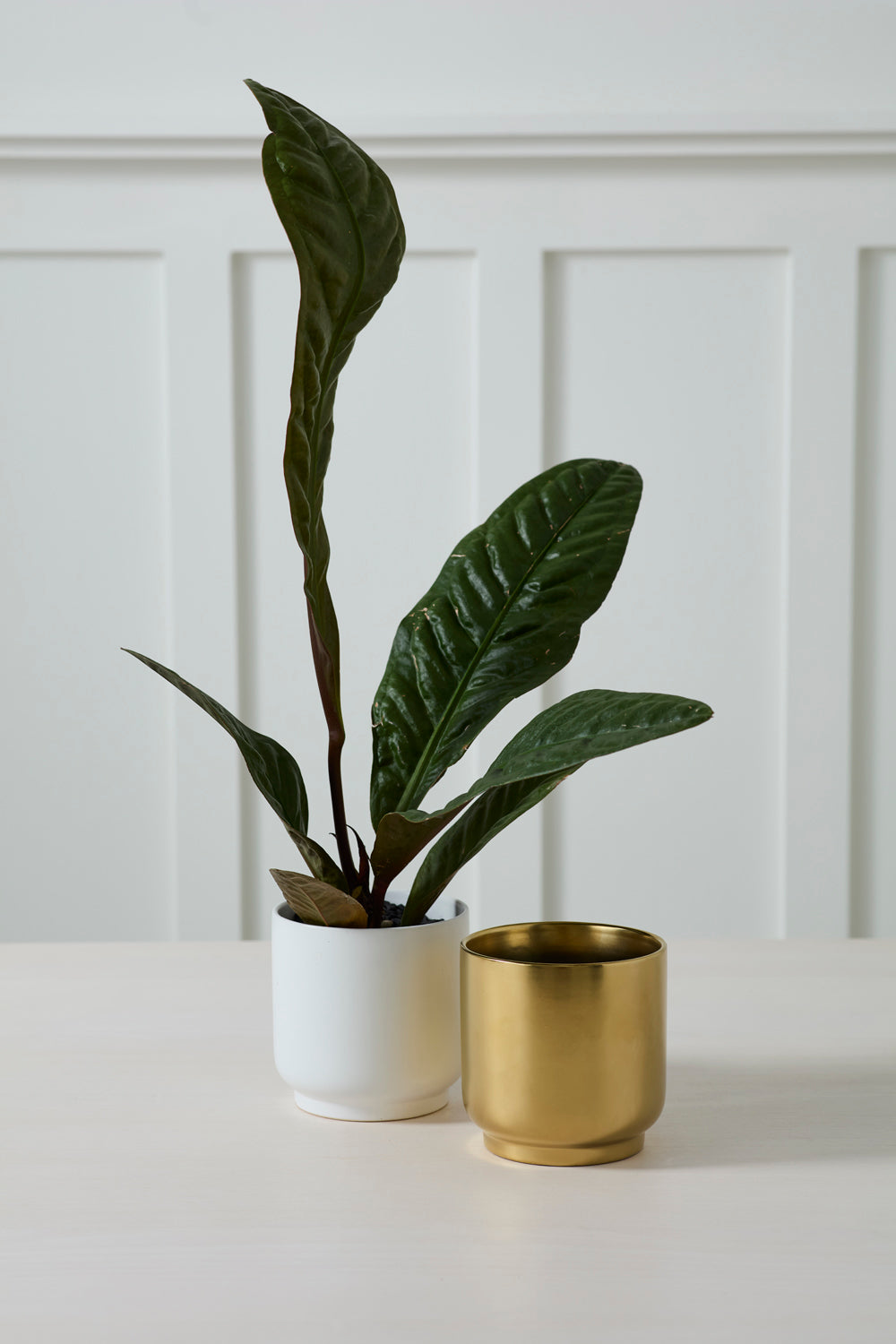 Kellen Pot Set of 4 By Accent Decor | Wall Decor | Modishstore - 4