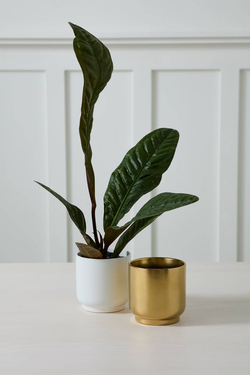 Kellen Pot Set of 4 By Accent Decor | Wall Decor | Modishstore - 4