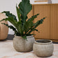 Kemble Pot By Accent Decor | Planters, Troughs & Cachepots | Modishstore - 1