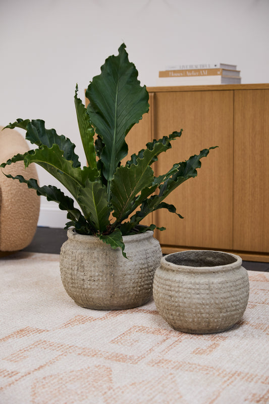 Kemble Pot By Accent Decor | Planters, Troughs & Cachepots | Modishstore - 1