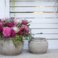 Kemble Pot By Accent Decor | Planters, Troughs & Cachepots | Modishstore - 5