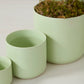 Light Green Kendall Pot Set of 8 By Accent Decor | Planters, Troughs & Cachepots | Modishstore - 1