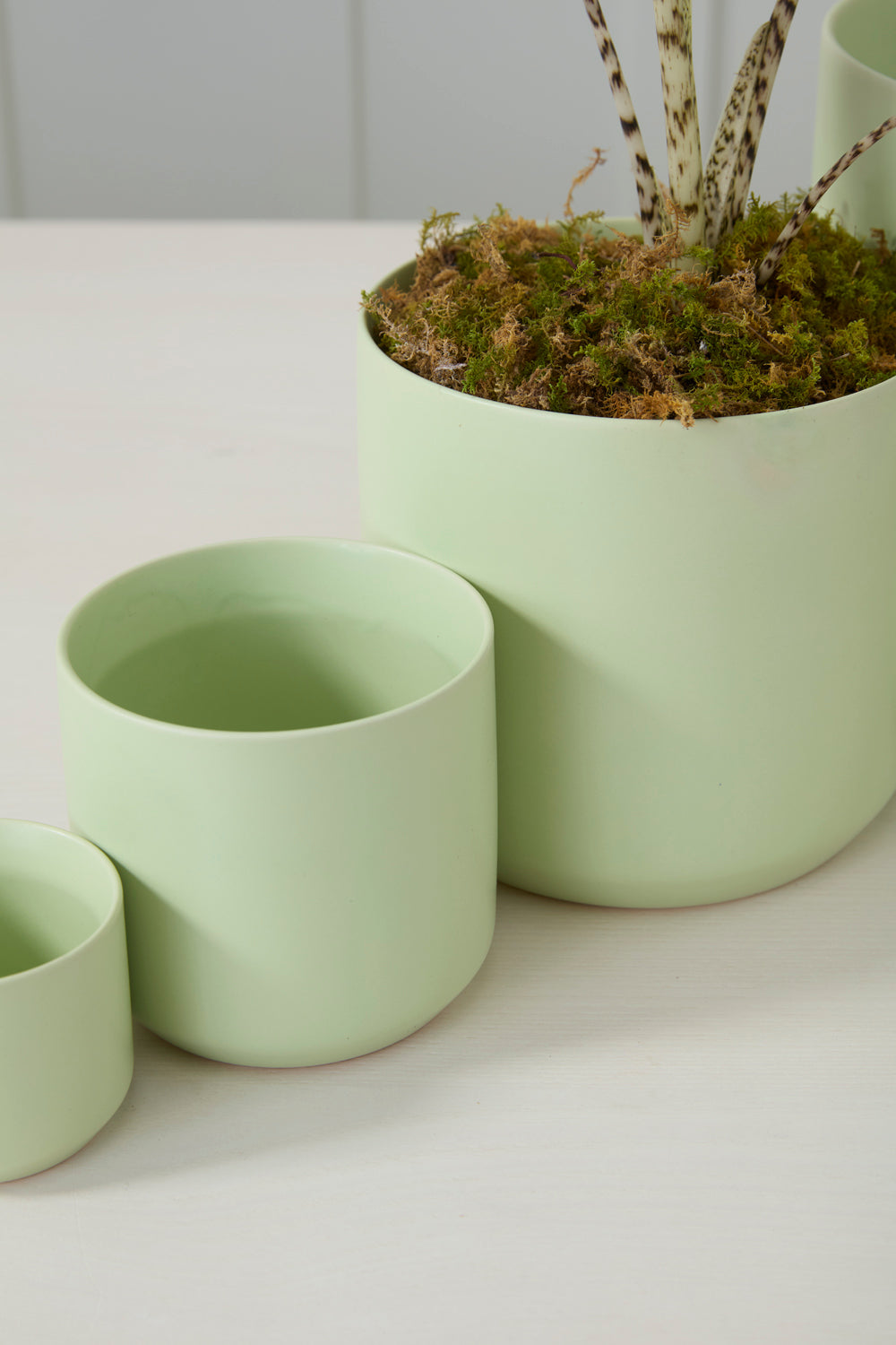 Light Green Kendall Pot Set of 8 By Accent Decor | Planters, Troughs & Cachepots | Modishstore - 1