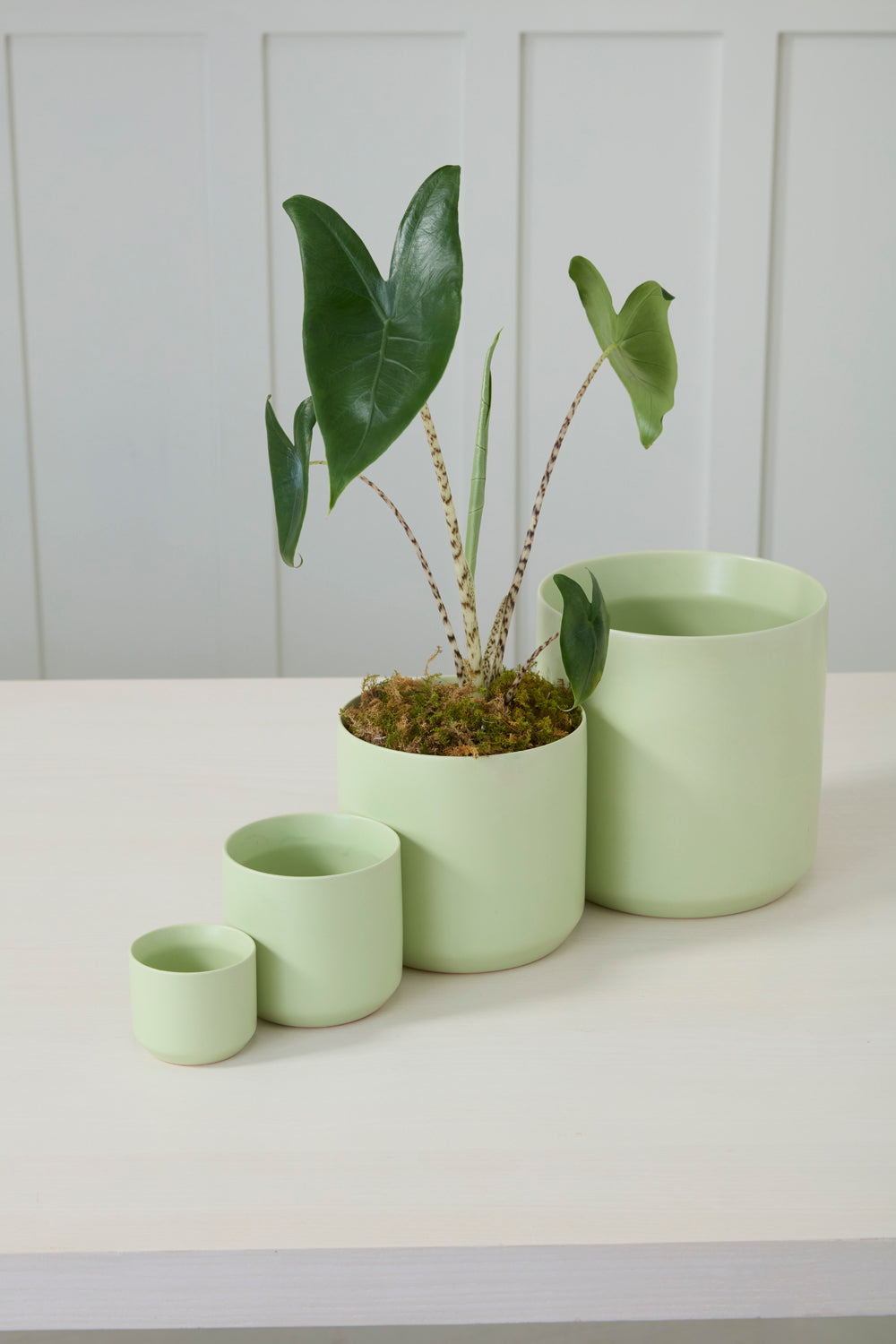 Light Green Kendall Pot Set of 8 By Accent Decor | Planters, Troughs & Cachepots | Modishstore - 3