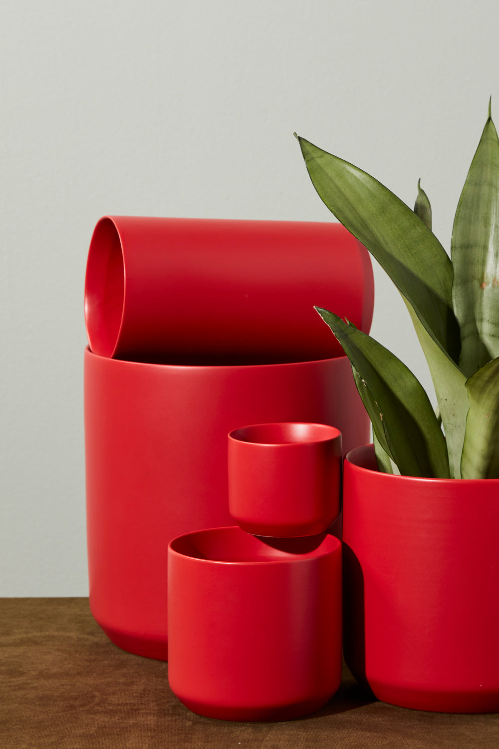 Kendall Holiday Collection Set of 8 By Accent Decor | Planters, Troughs & Cachepots | Modishstore - 1