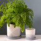 Keppel Pot Set of 4 By Accent Decor | Planters, Troughs & Cachepots | Modishstore - 1