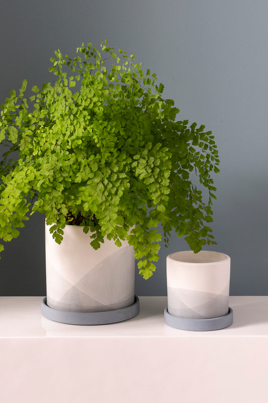 Keppel Pot Set of 4 By Accent Decor | Planters, Troughs & Cachepots | Modishstore - 1
