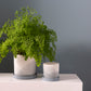 Keppel Pot Set of 4 By Accent Decor | Planters, Troughs & Cachepots | Modishstore - 3