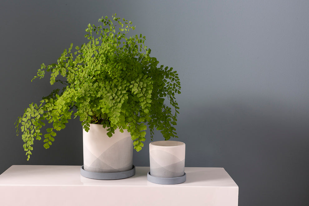 Keppel Pot Set of 4 By Accent Decor | Planters, Troughs & Cachepots | Modishstore - 3