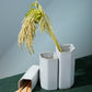 Keystone Vase Set of 8 By Accent Decor | Vases | Modishstore - 1