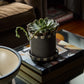 Kimo Pot with Saucer Set of 2 By Accent Decor | Stands | Modishstore - 3