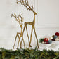 Kingly Reindeer By Accent Decor | Planters, Troughs & Cachepots | Modishstore - 3