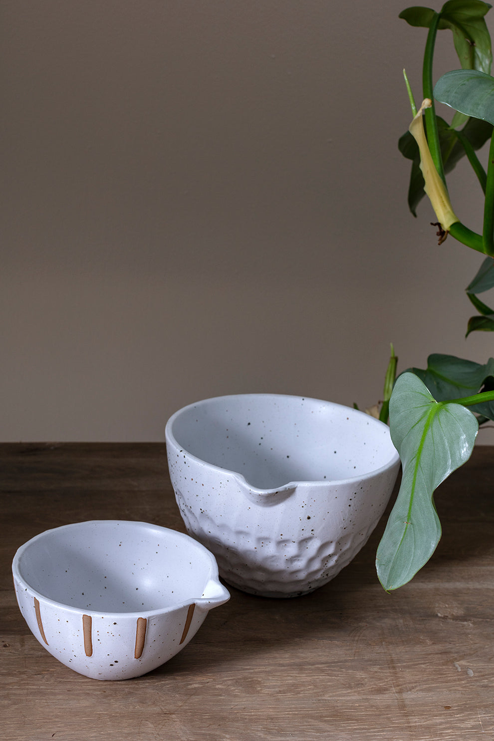 Knollberry Bowl Set of 4 By Accent Decor | Decorative Bowls | Modishstore - 3