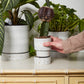 La Jolla Pot Set of 4 By Accent Decor | Planters, Troughs & Cachepots | Modishstore - 1