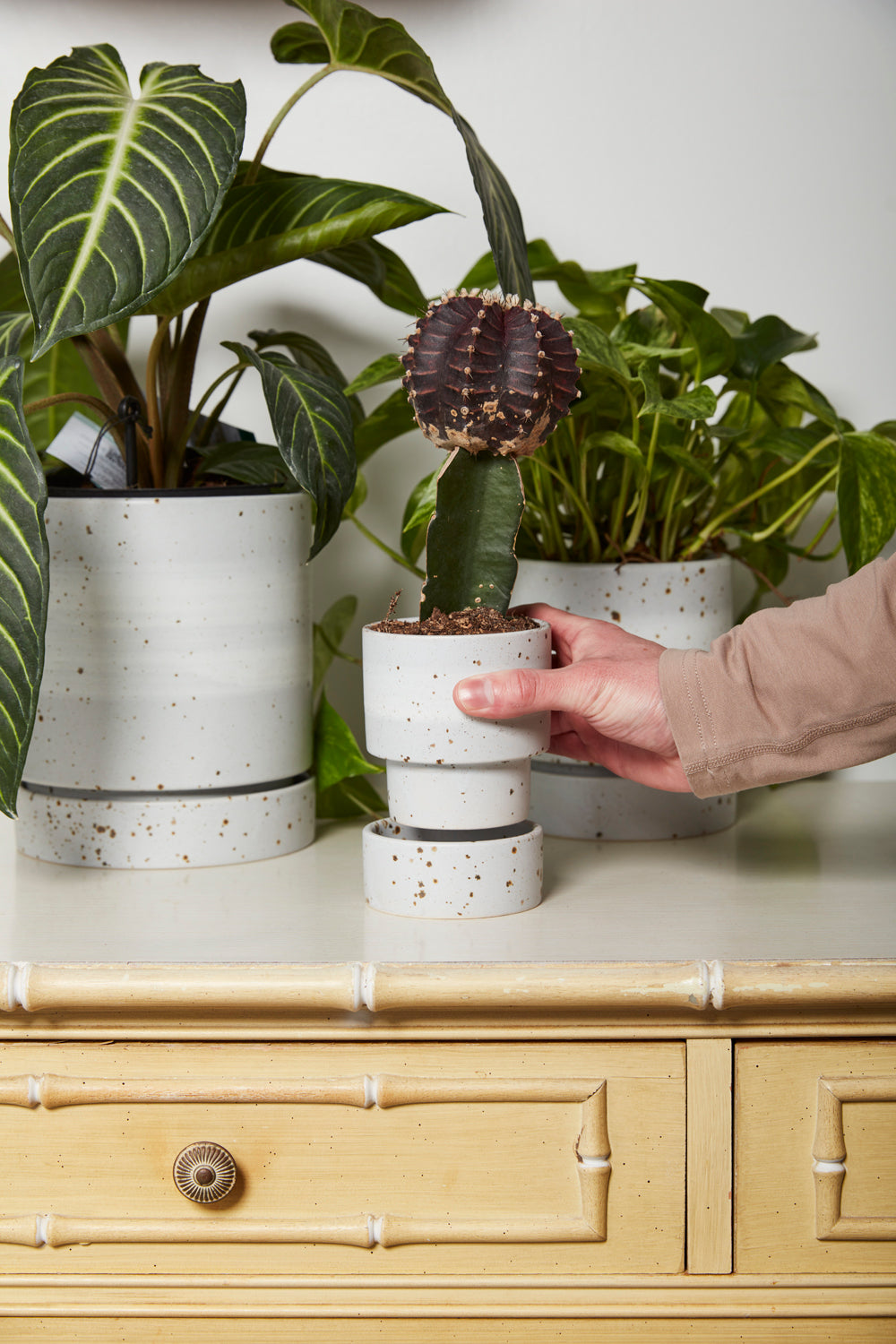 La Jolla Pot Set of 4 By Accent Decor | Planters, Troughs & Cachepots | Modishstore - 1