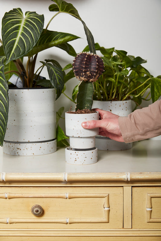La Jolla Pot Set of 4 By Accent Decor | Planters, Troughs & Cachepots | Modishstore - 1