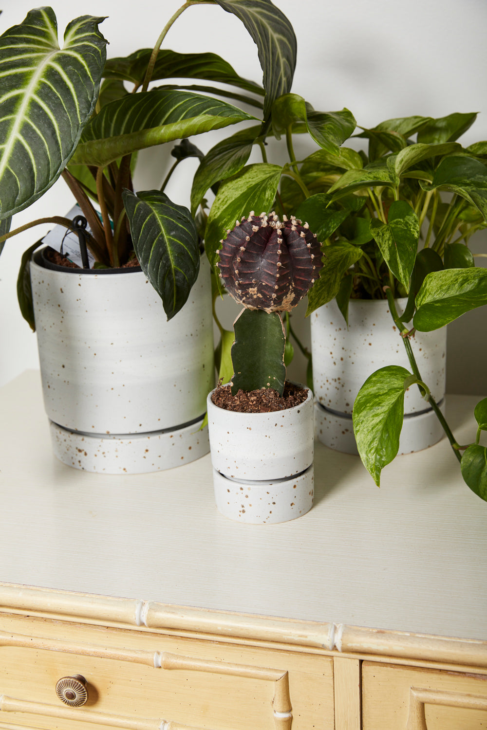 La Jolla Pot Set of 4 By Accent Decor | Planters, Troughs & Cachepots | Modishstore - 3