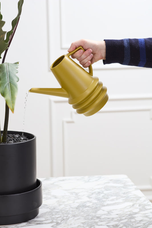 Laken Watering Can Set of 2 By Accent Decor | Stands | Modishstore - 1