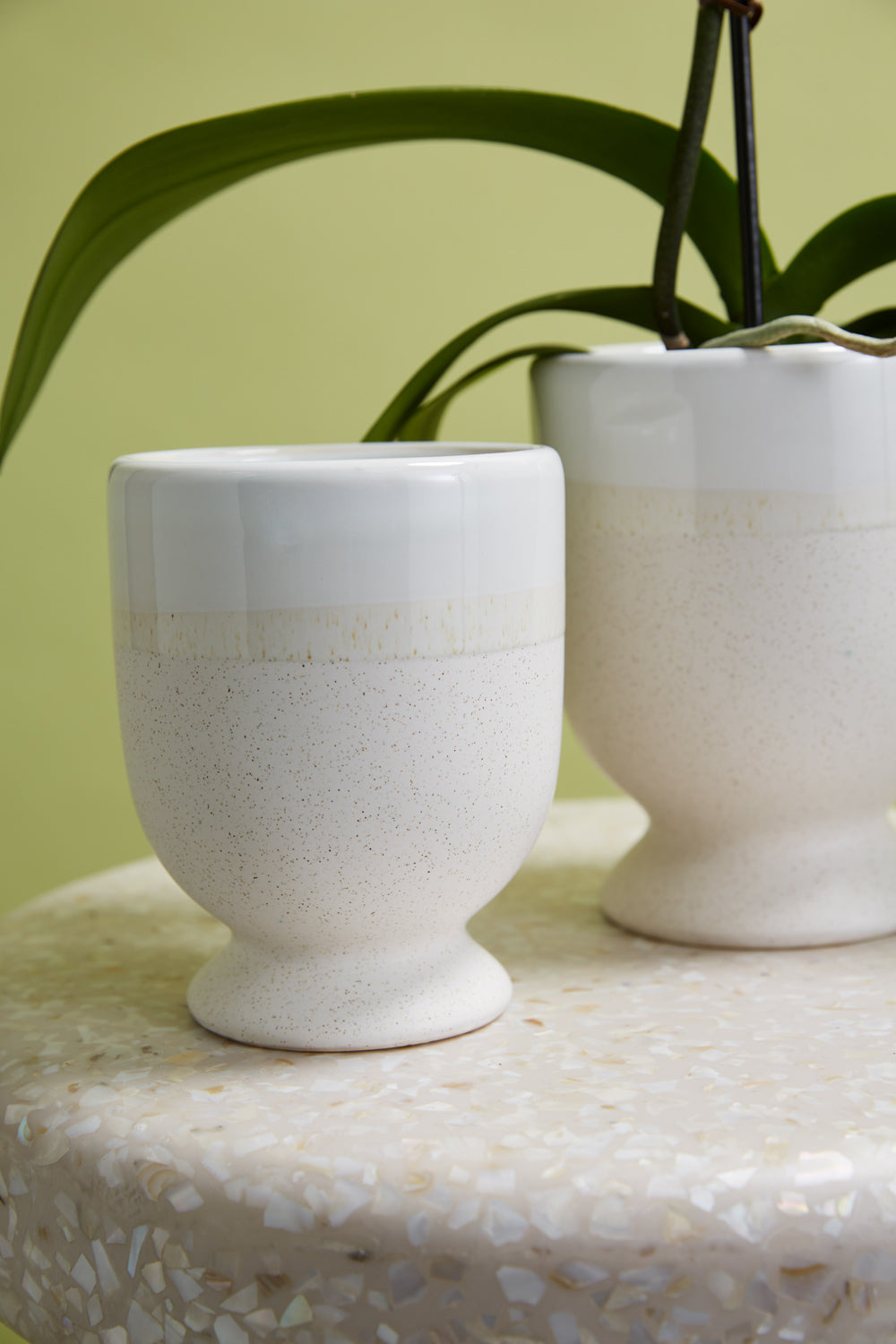 Laney Vase Set of 8 By Accent Decor | Vases | Modishstore - 4
