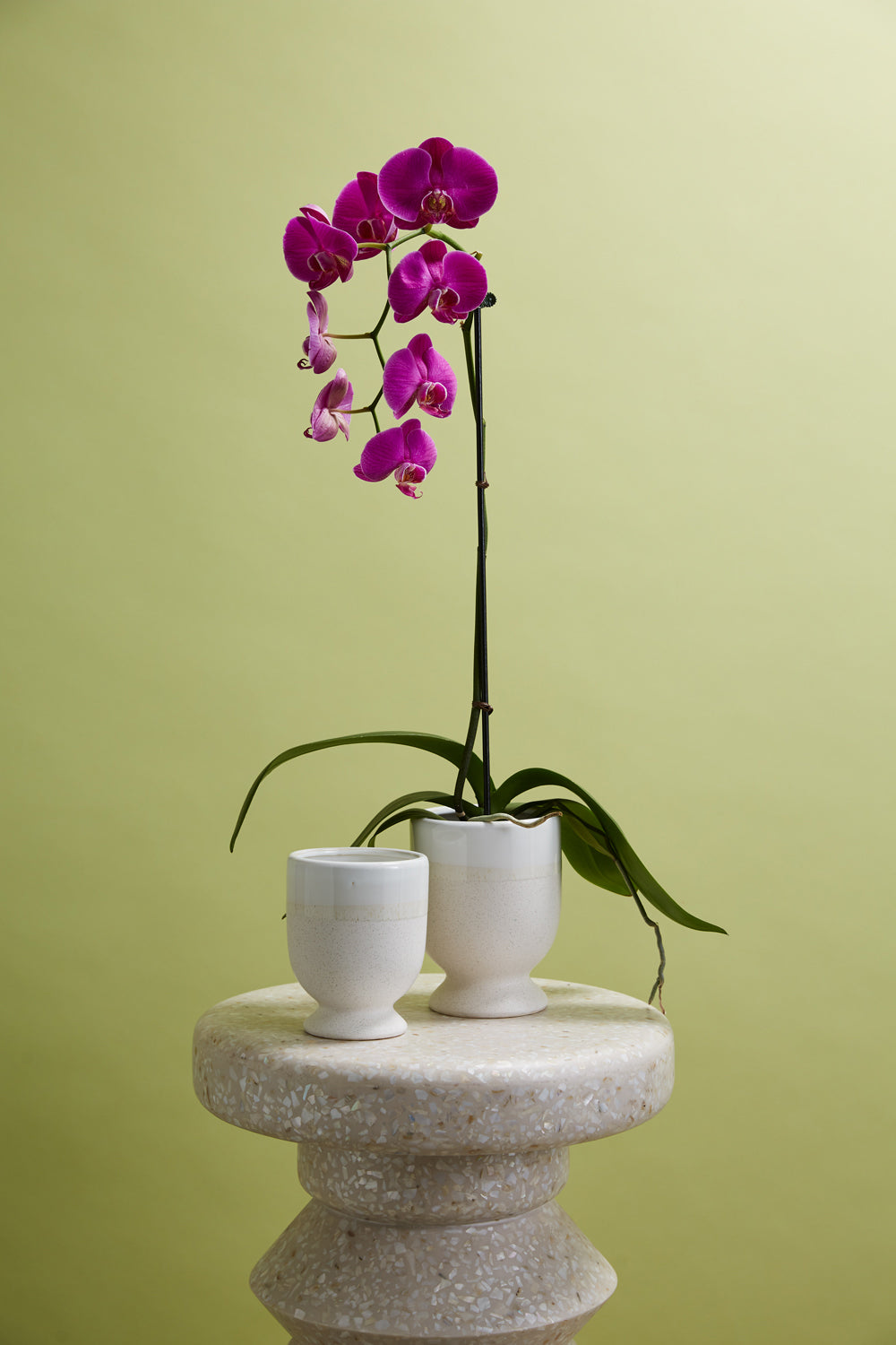 Laney Vase Set of 8 By Accent Decor | Vases | Modishstore - 5