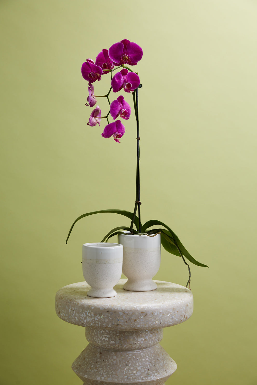 Laney Vase Set of 8 By Accent Decor | Vases | Modishstore - 5