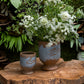 Lapin Pot Set of 8 By Accent Decor | Planters, Troughs & Cachepots | Modishstore - 3