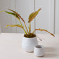 Larkin Pot Set of 8 By Accent Decor | Wall Decor | Modishstore - 4