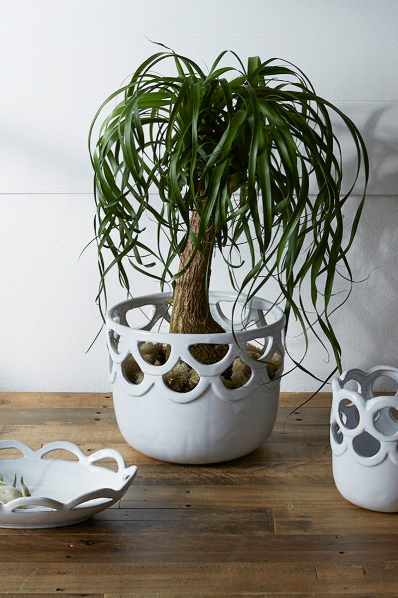 Lattice Pot 10"x 8.25" By Accent Decor | Planters, Troughs & Cachepots | Modishstore - 1